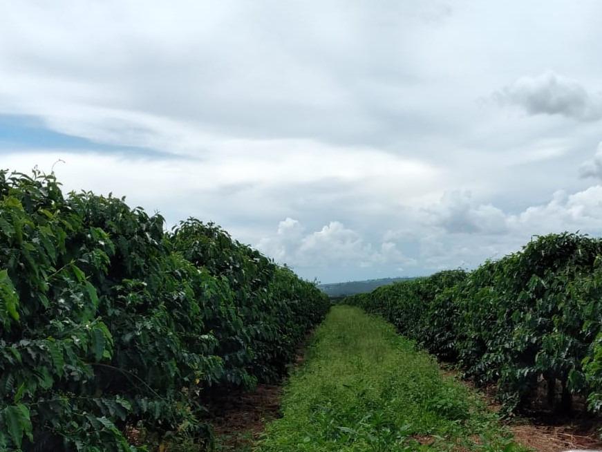 Fazenda, Centro, 2 Quartos, 0 Vaga