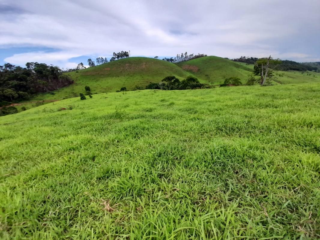 Fazenda, Zona Rural, 8 Quartos, 0 Vaga