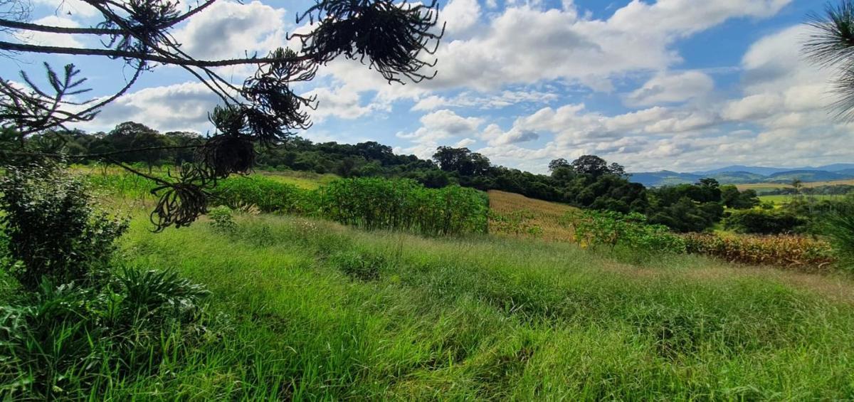 Lote, Centro, 4 Quartos, 2 Vagas
