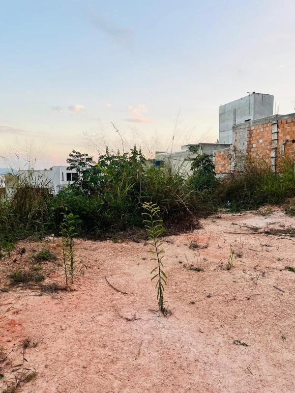 Lote, Monte Verde, 0 Quarto, 0 Vaga