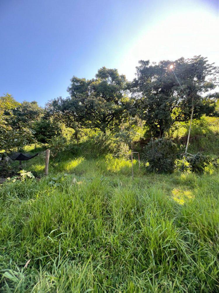 Fazenda, Quintas da Lagoa, 0 Quarto, 0 Vaga