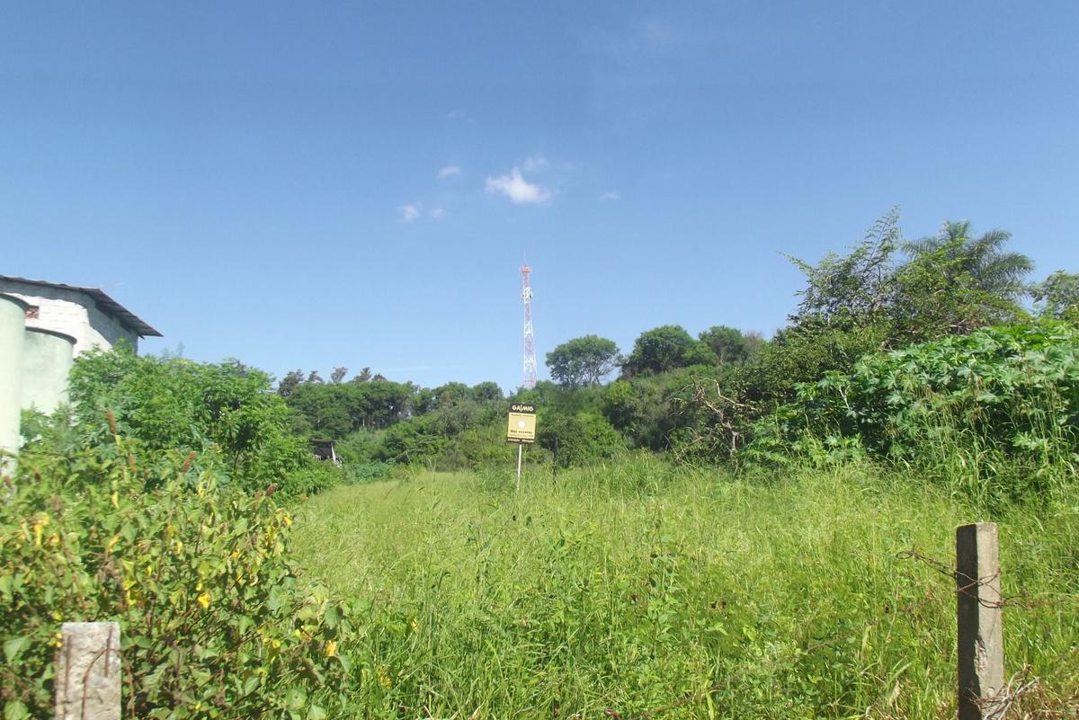 Lote, Vila Olga, 0 Quarto, 0 Vaga