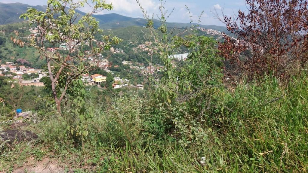 Lote, Morro São Francisco, 0 Quarto, 0 Vaga