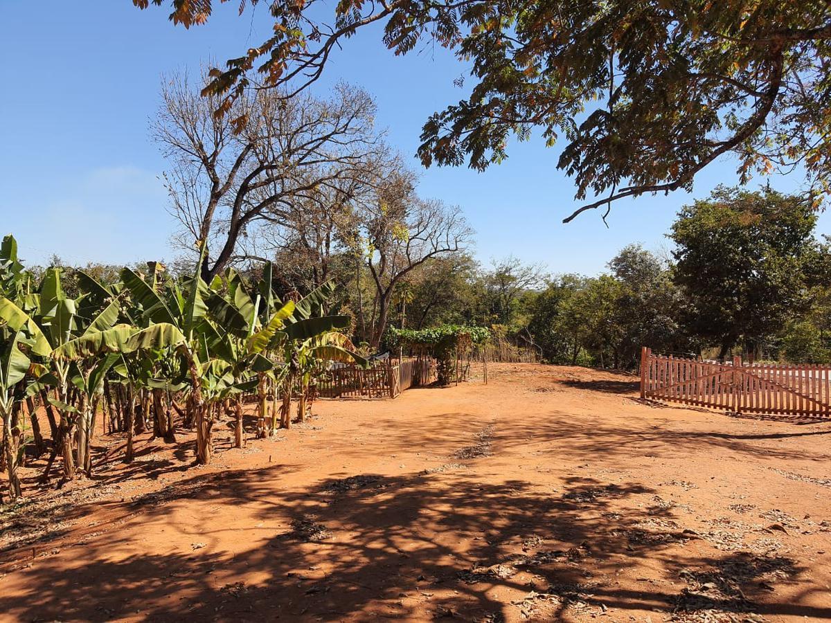 Fazenda, Centro, 6 Quartos, 10 Vagas, 1 Suíte