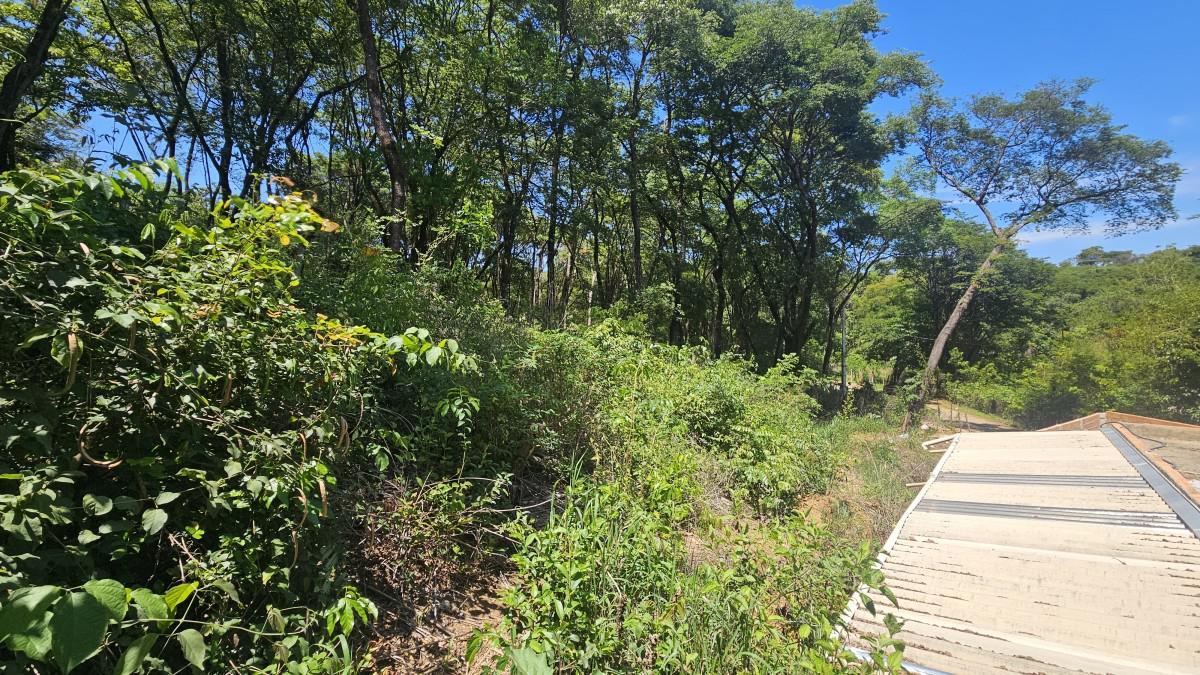 Lote, Tavares, 0 Quarto, 0 Vaga