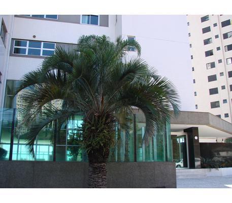 Apartamento, Belvedere, 4 Quartos, 4 Vagas, 2 Suítes