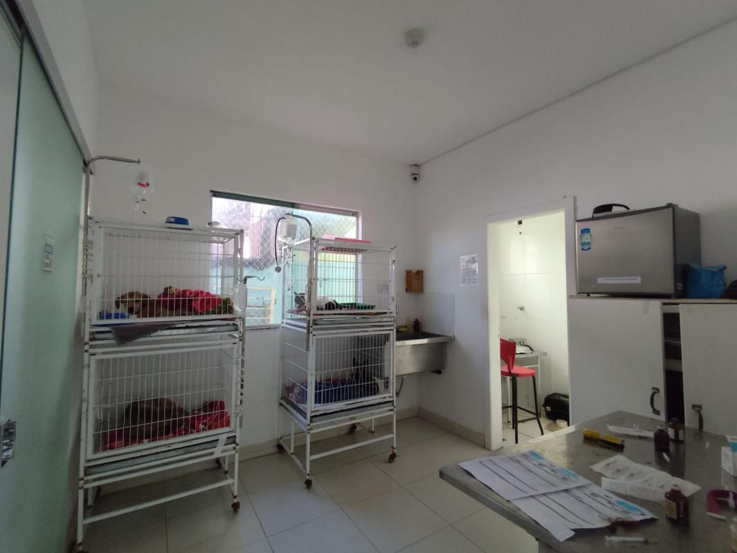 Casa, Carlos Prates, 4 Quartos, 7 Vagas