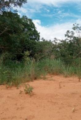 Fazenda, Zona Rural, 3 Quartos, 0 Vaga
