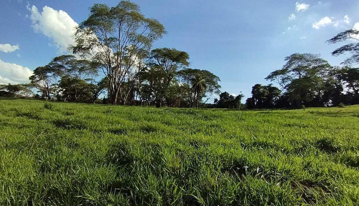 Fazenda, Zona Rural, 3 Quartos, 0 Vaga