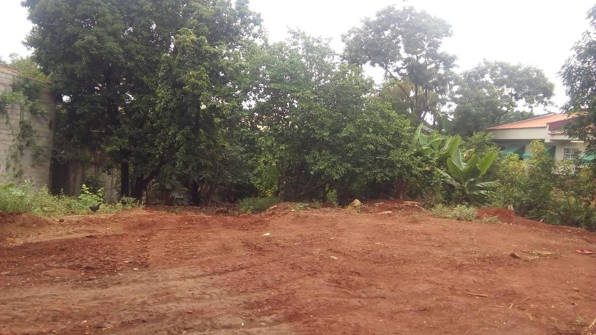 Lote, Trevo, 0 Quarto, 0 Vaga