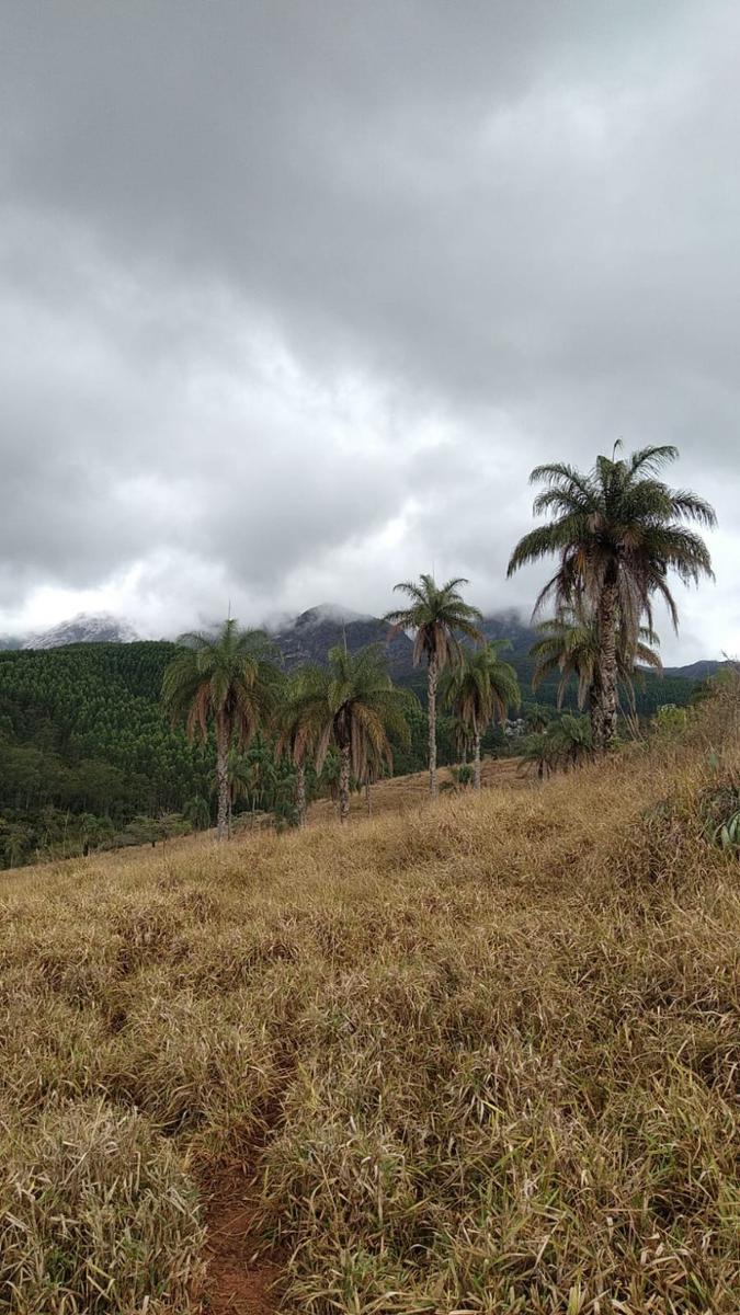 Lote, Zona Rural, 0 Quarto, 0 Vaga