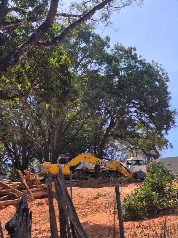 Lote, Marmeleiros, 0 Quarto, 0 Vaga