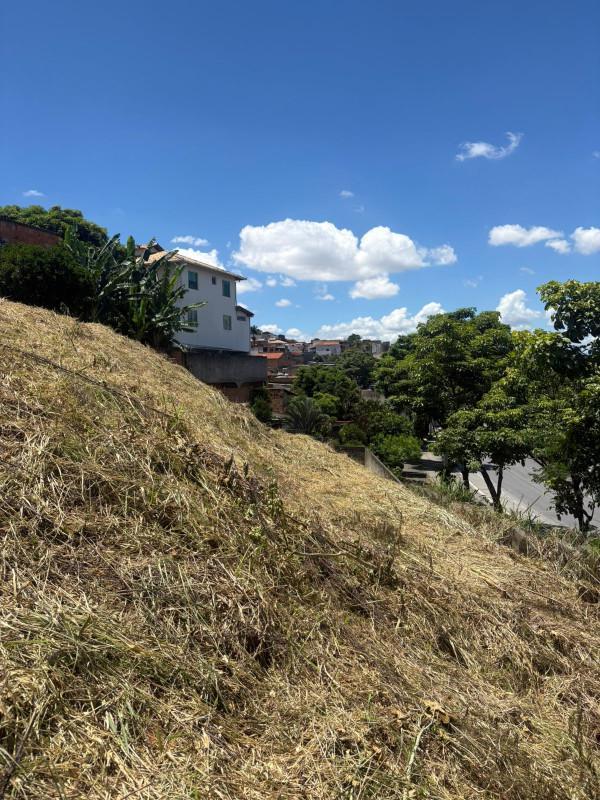 Lote, Santa Mônica, 0 Quarto, 0 Vaga