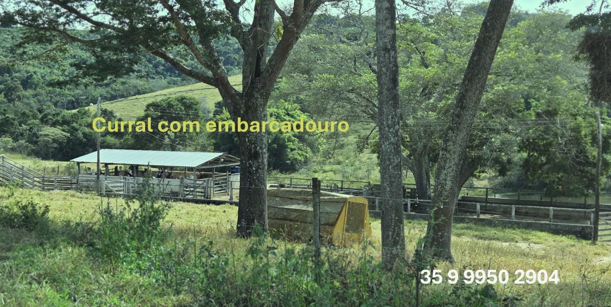 Fazenda, Zona Rural, 0 Quarto, 0 Vaga