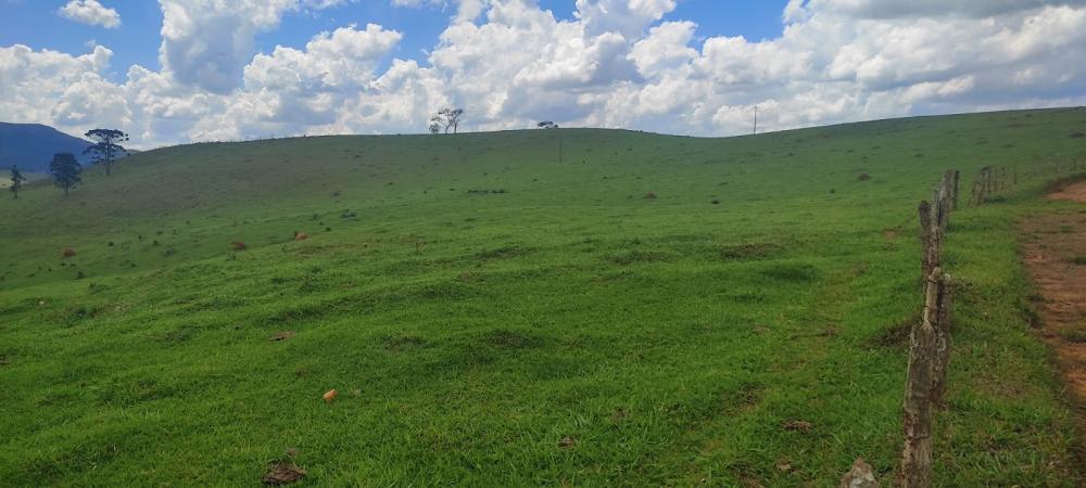 Fazenda, Centro, 3 Quartos, 1 Vaga