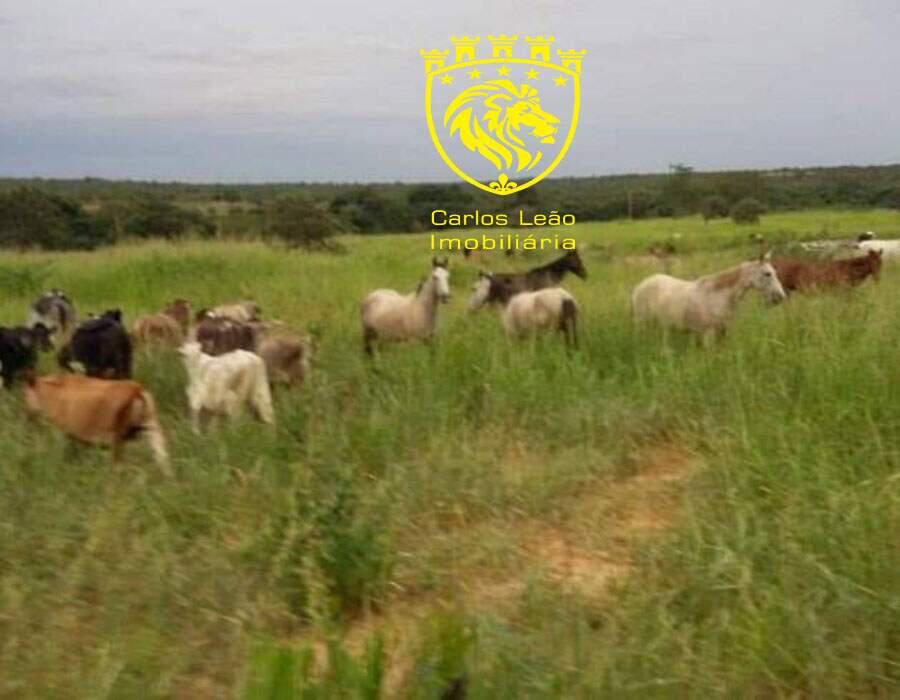 Fazenda, Centro, 3 Quartos, 4 Vagas, 1 Suíte