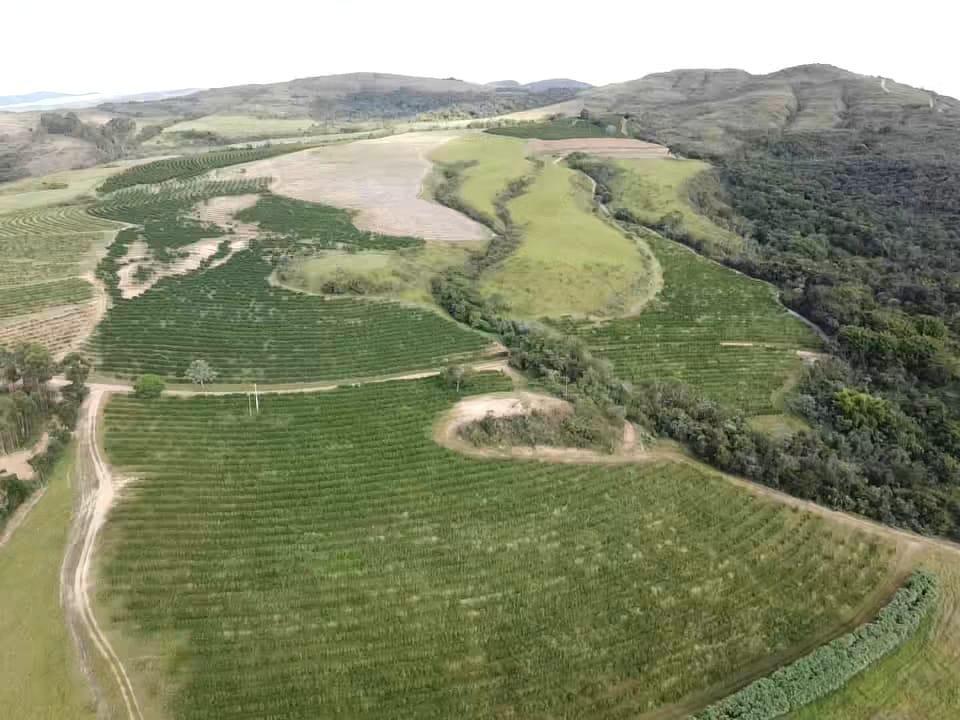 Fazenda, Zona Rural, 0 Quarto, 0 Vaga