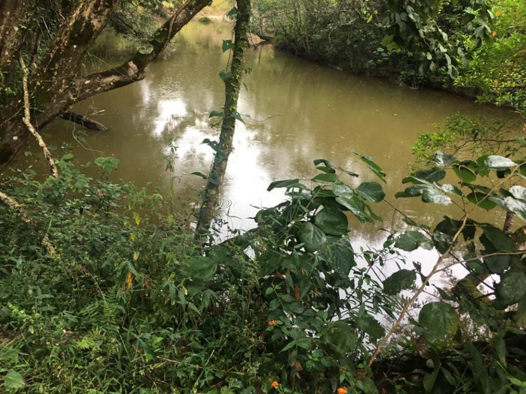 Lote, Parque Ipiranga, 0 Quarto, 0 Vaga