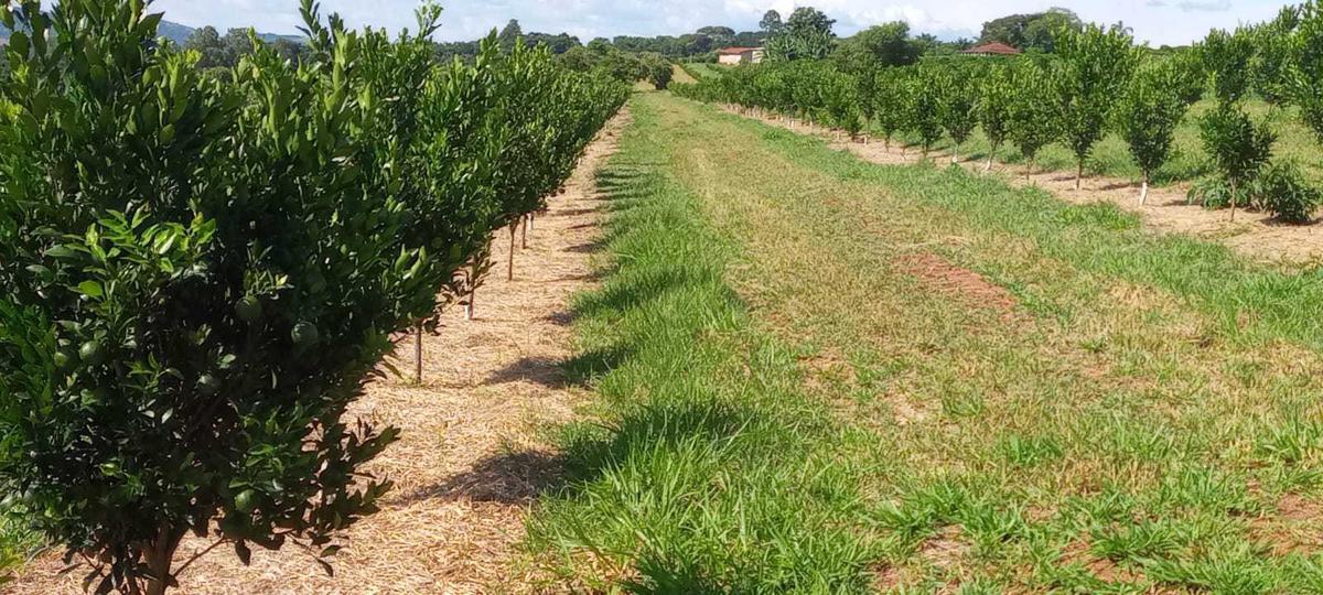 Fazenda, Zona Rural, 3 Quartos, 0 Vaga