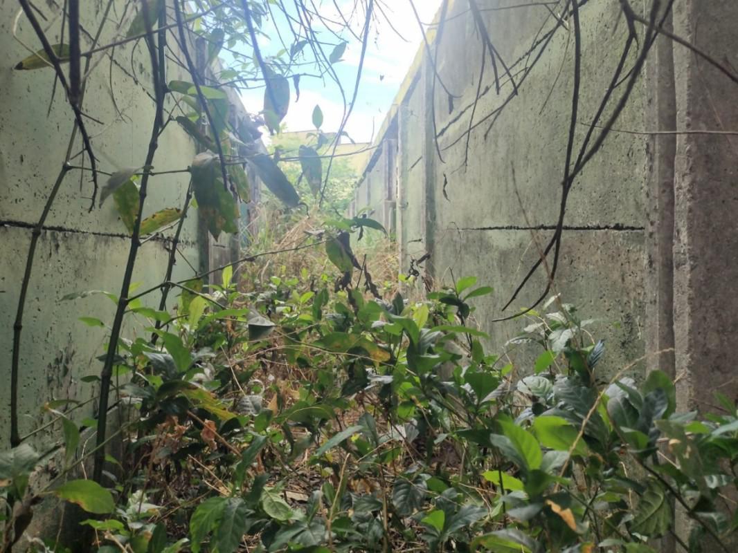 Lote, Novo Progresso, 0 Quarto, 0 Vaga