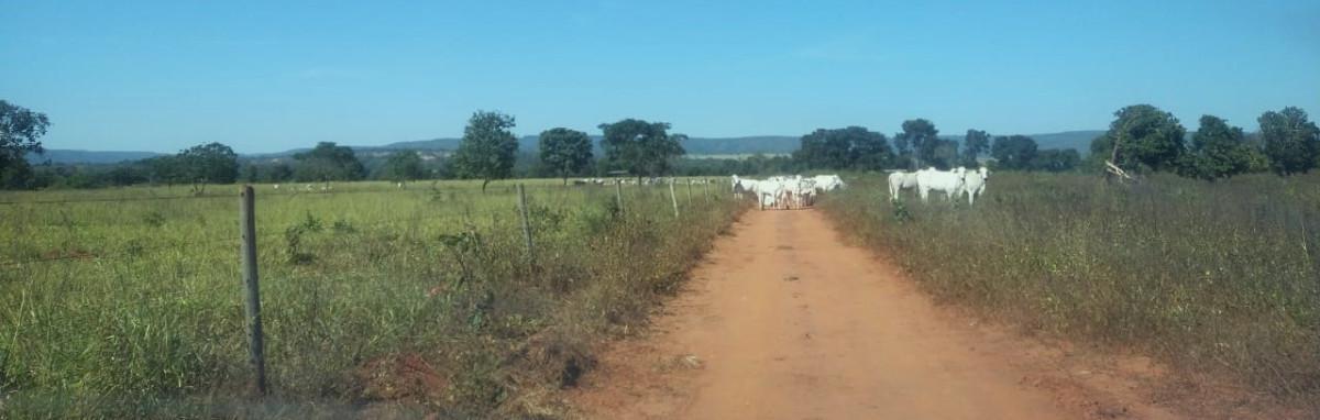Fazenda, Zona Rural, 0 Quarto, 0 Vaga