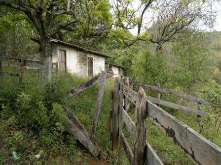 Fazenda, Centro, 3 Quartos, 0 Vaga