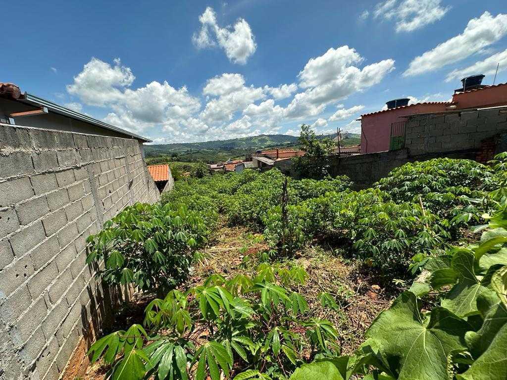 Lote, Centro, 0 Quarto, 0 Vaga