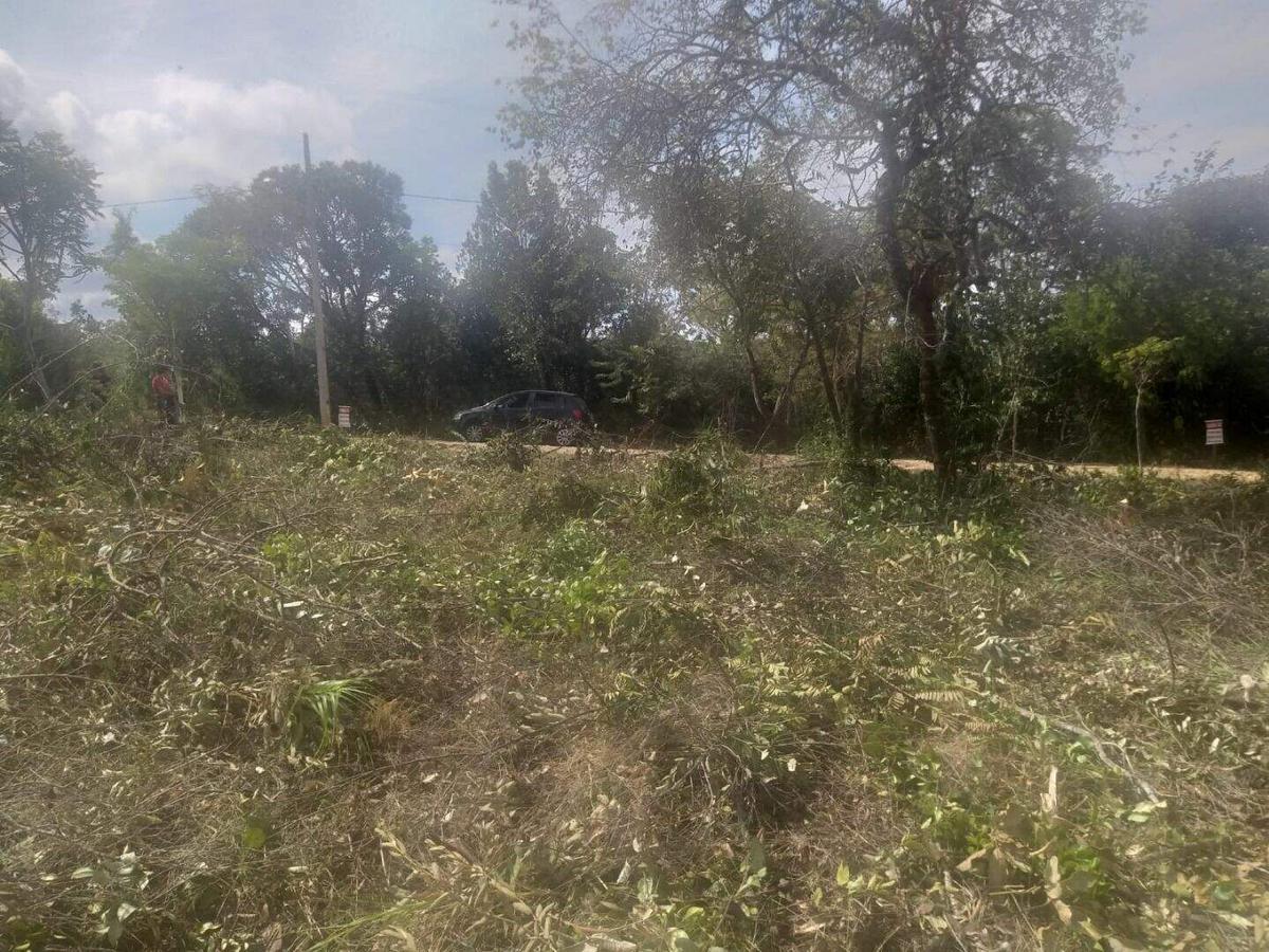 Lote, Zona Rural, 0 Quarto, 0 Vaga