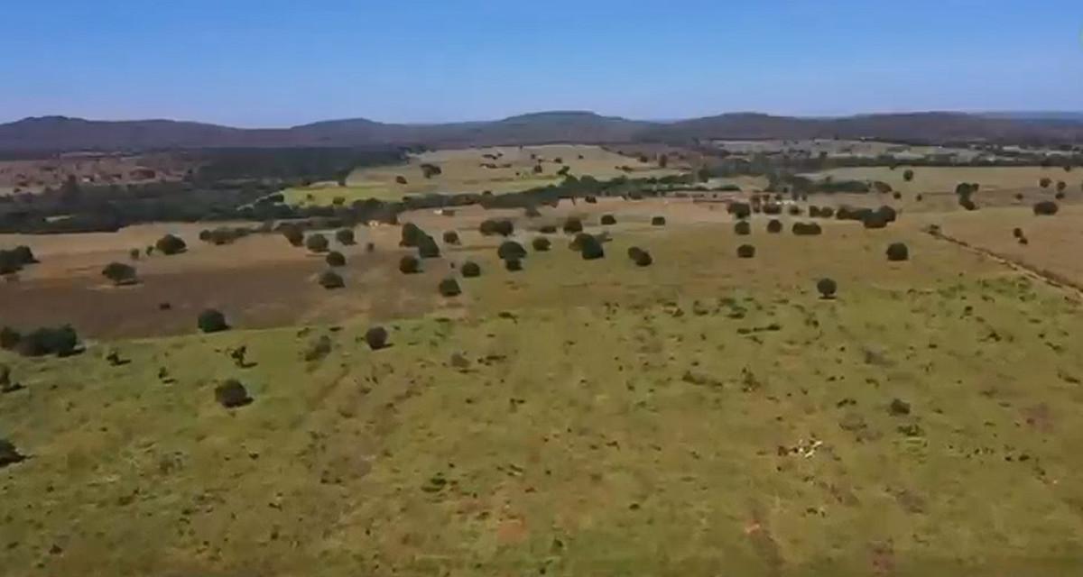 Fazenda, Zona Rural, 0 Quarto, 0 Vaga
