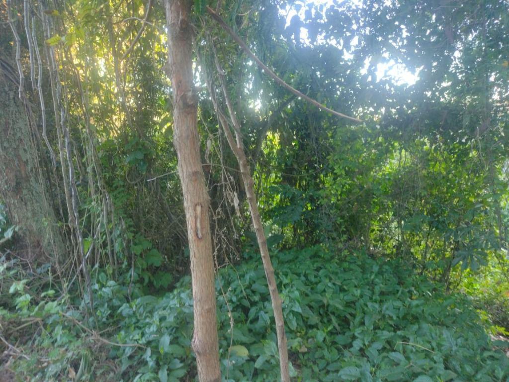 Fazenda, Adelmolândia, 0 Quarto, 0 Vaga