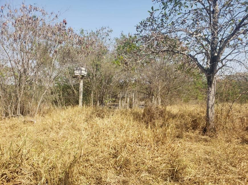 Fazenda, Centro, 0 Quarto, 0 Vaga