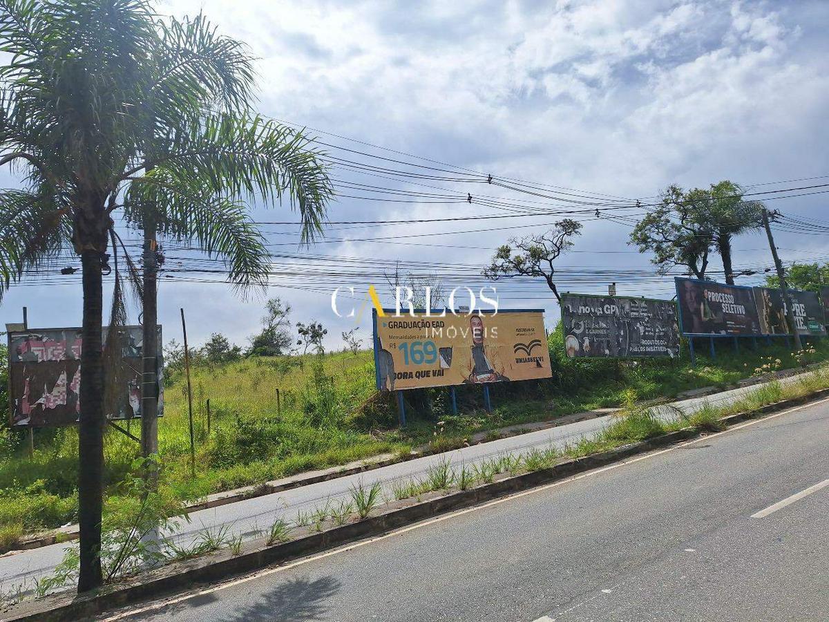 Lote, Cidade Verde
