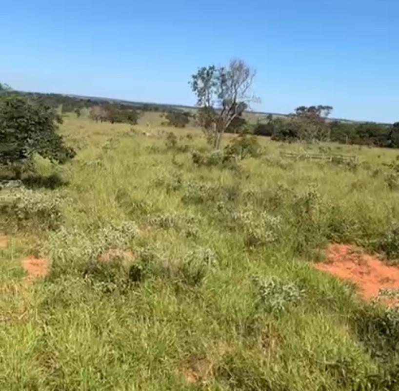 Fazenda, Zona Rural, 0 Quarto, 0 Vaga