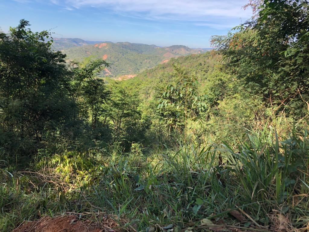 Fazenda, Centro, 3 Quartos, 10 Vagas, 1 Suíte