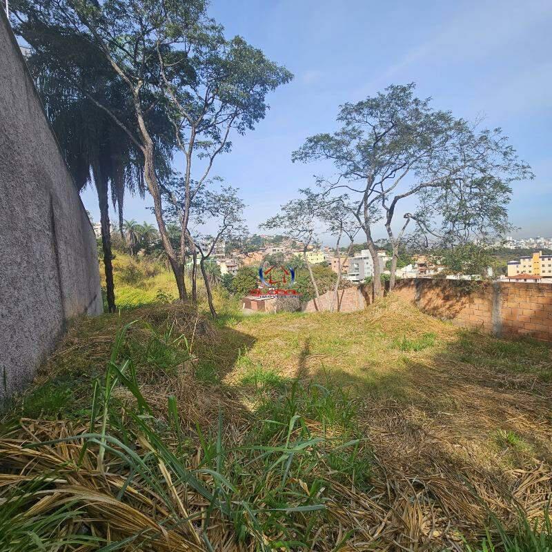 Lote, Ouro Preto