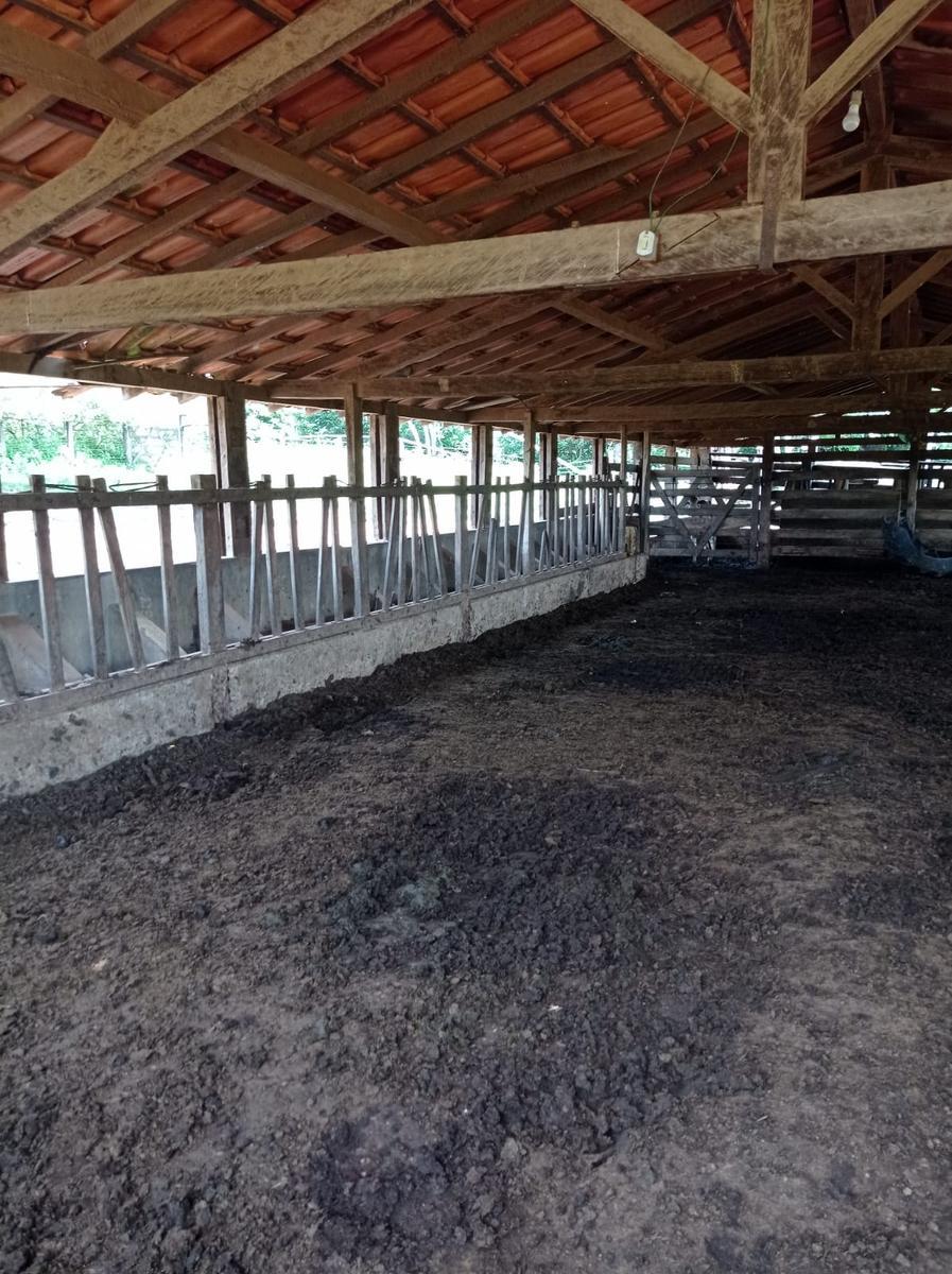 Fazenda, Buriti Grande