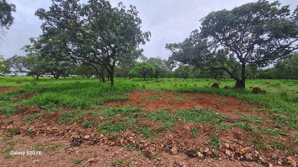 Lote, Zona Rural, 0 Quarto, 0 Vaga