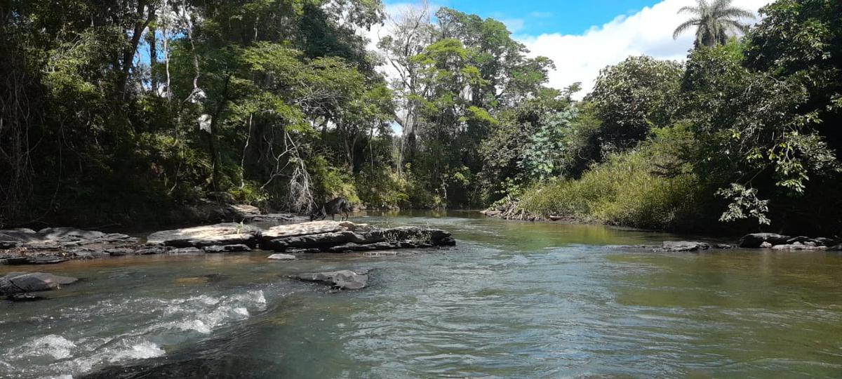 Lote, Centro, 0 Quarto, 0 Vaga