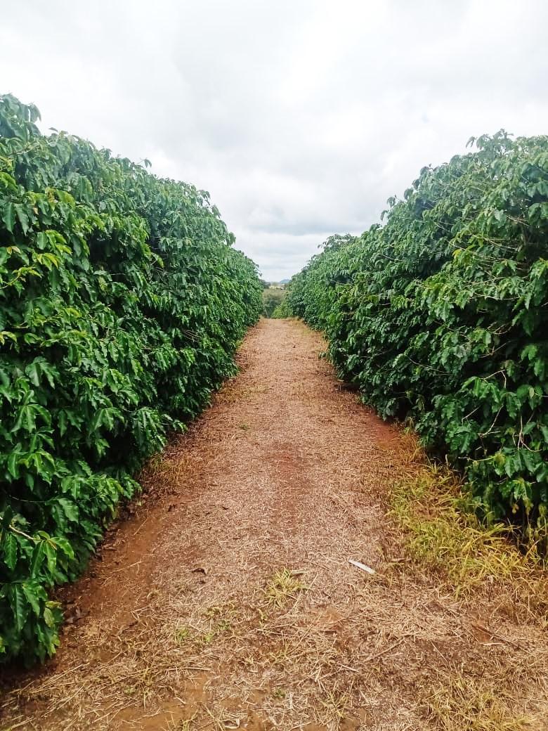 Fazenda, Zona Rural, 1 Quarto, 0 Vaga