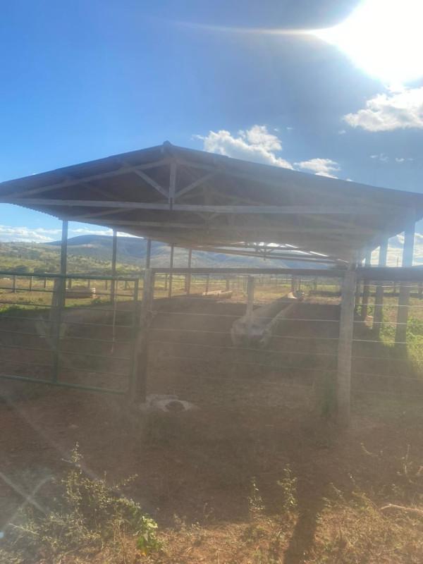 Fazenda, Zona Rural, 0 Quarto, 0 Vaga