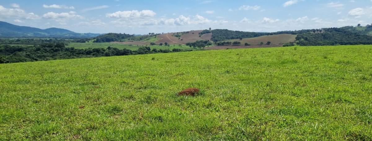 Fazenda, Zona Rural, 1 Quarto, 0 Vaga