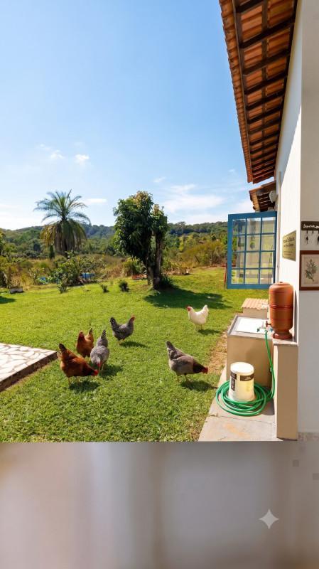 Fazenda, Caracois de Baixo, 4 Quartos, 10 Vagas