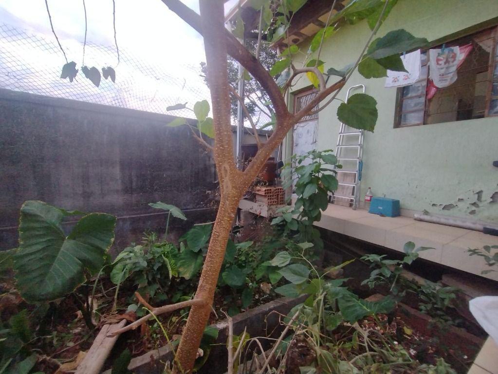 Casa, Alto do Cabral, 1 Quarto, 0 Vaga