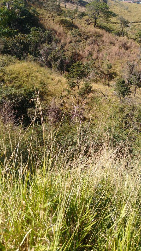 Lote, Manacás, 0 Quarto, 0 Vaga