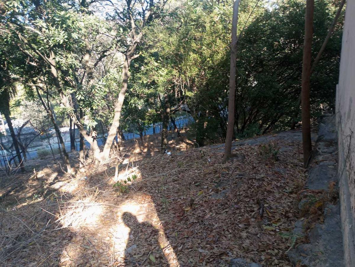 Lote, Centro, 255 Quartos, 0 Vaga