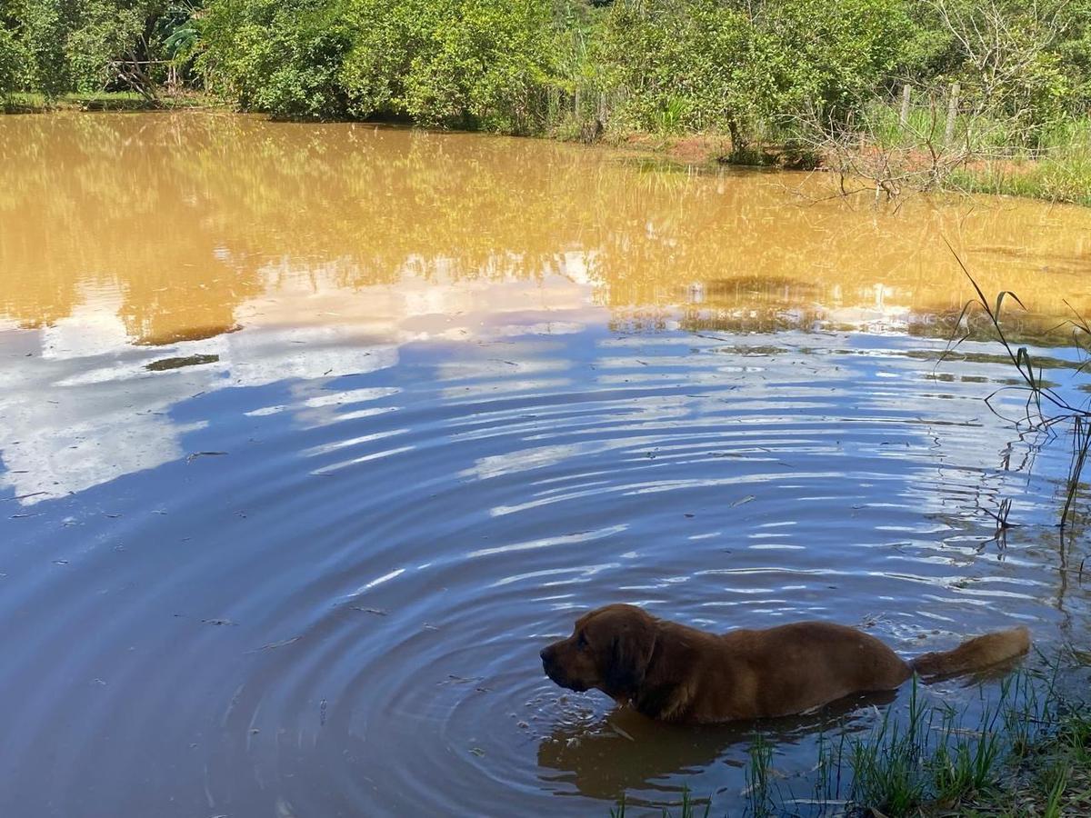 Fazenda, Zona Rural, 0 Quarto, 0 Vaga