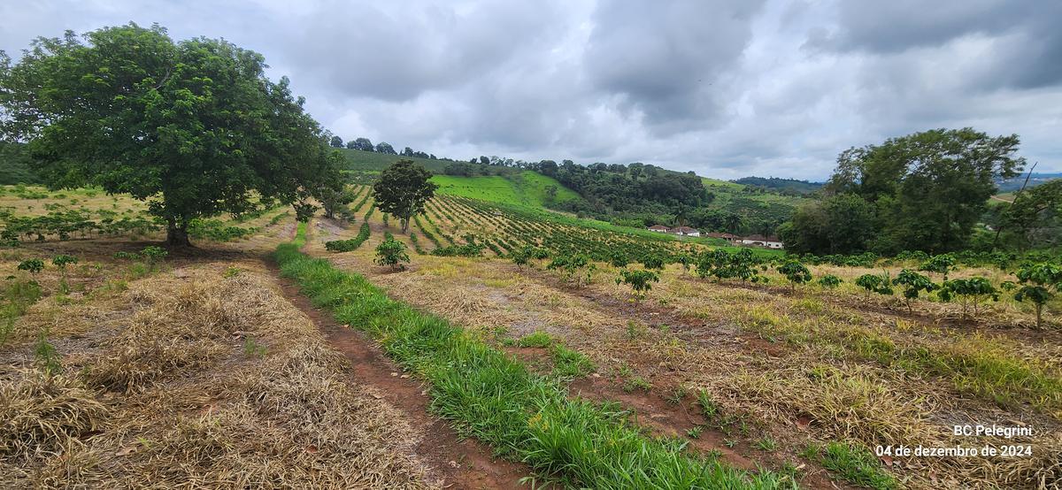 Fazenda, Centro, 2 Quartos, 1 Vaga, 1 Suíte