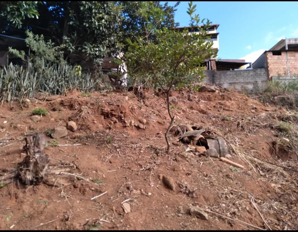 Lote, Riacho das Pedras, 0 Quarto, 0 Vaga