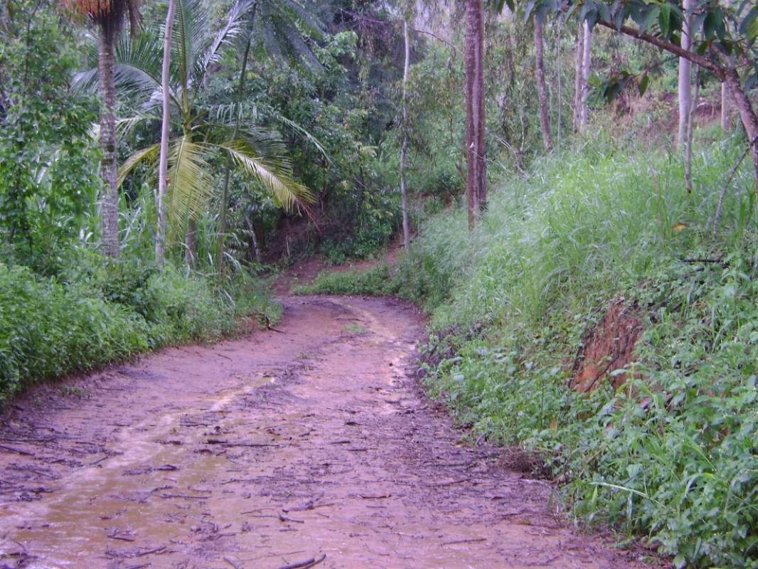 Fazenda, Centro, 3 Quartos, 1 Vaga