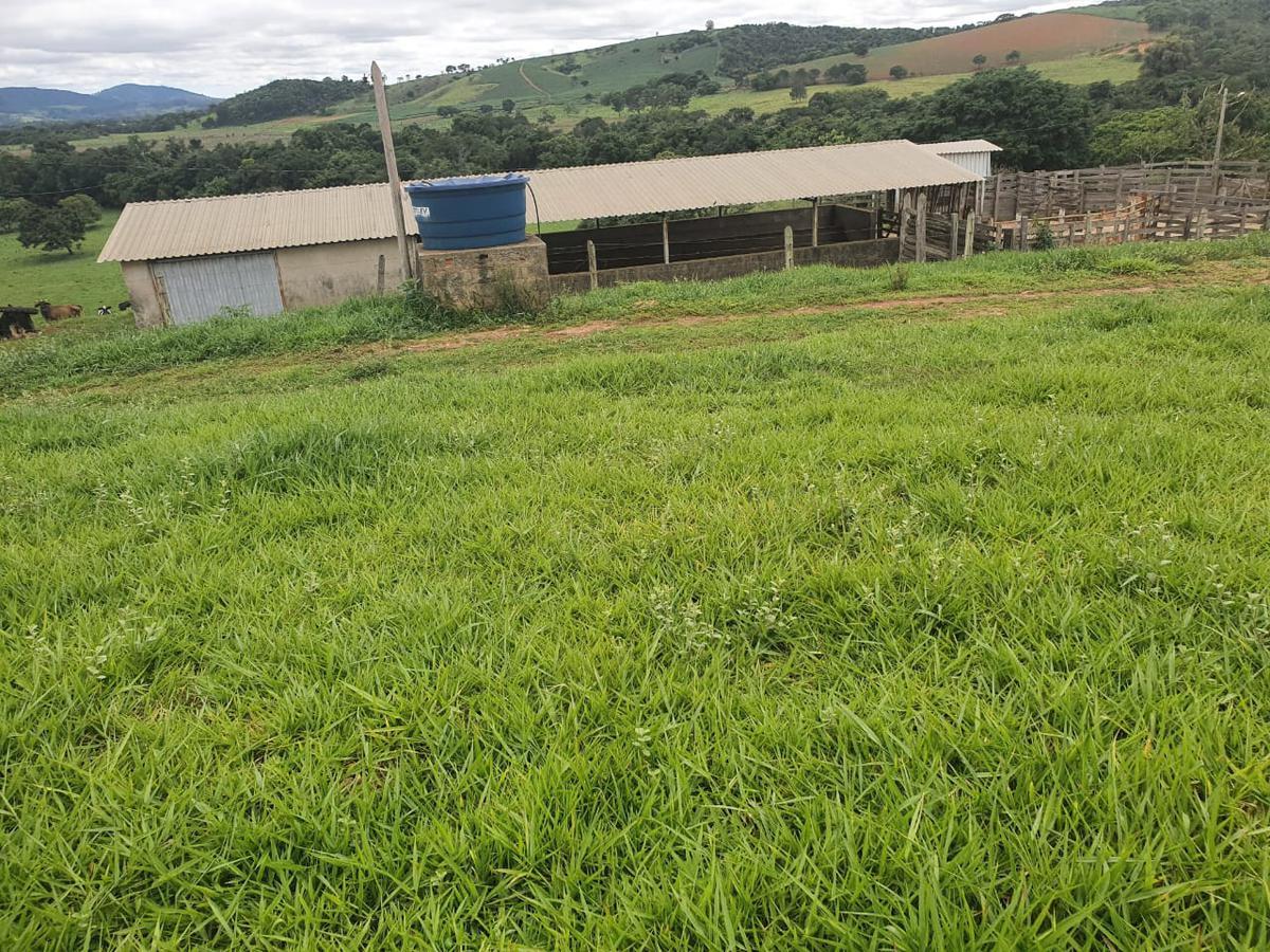 Fazenda, Zona Rural, 1 Quarto, 0 Vaga